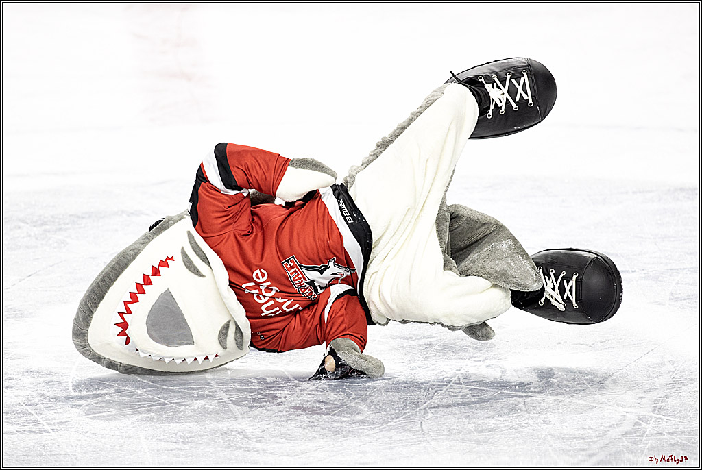 PENNY DEL;  Koelner Haie - Eisbaeren Berlin; Koeln, 28.12.2021